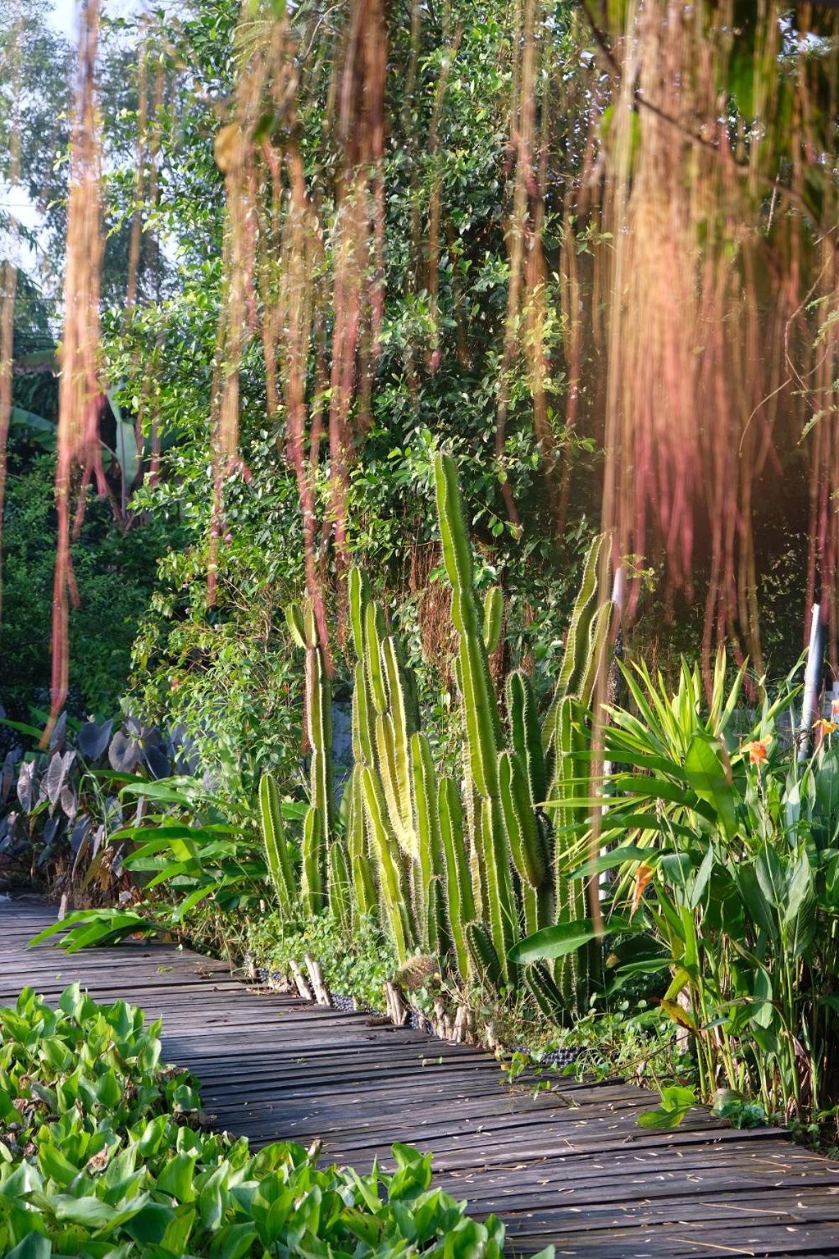 Bungalow - Farmstay Hoa Rung U Minh Cà Mau 外观 照片