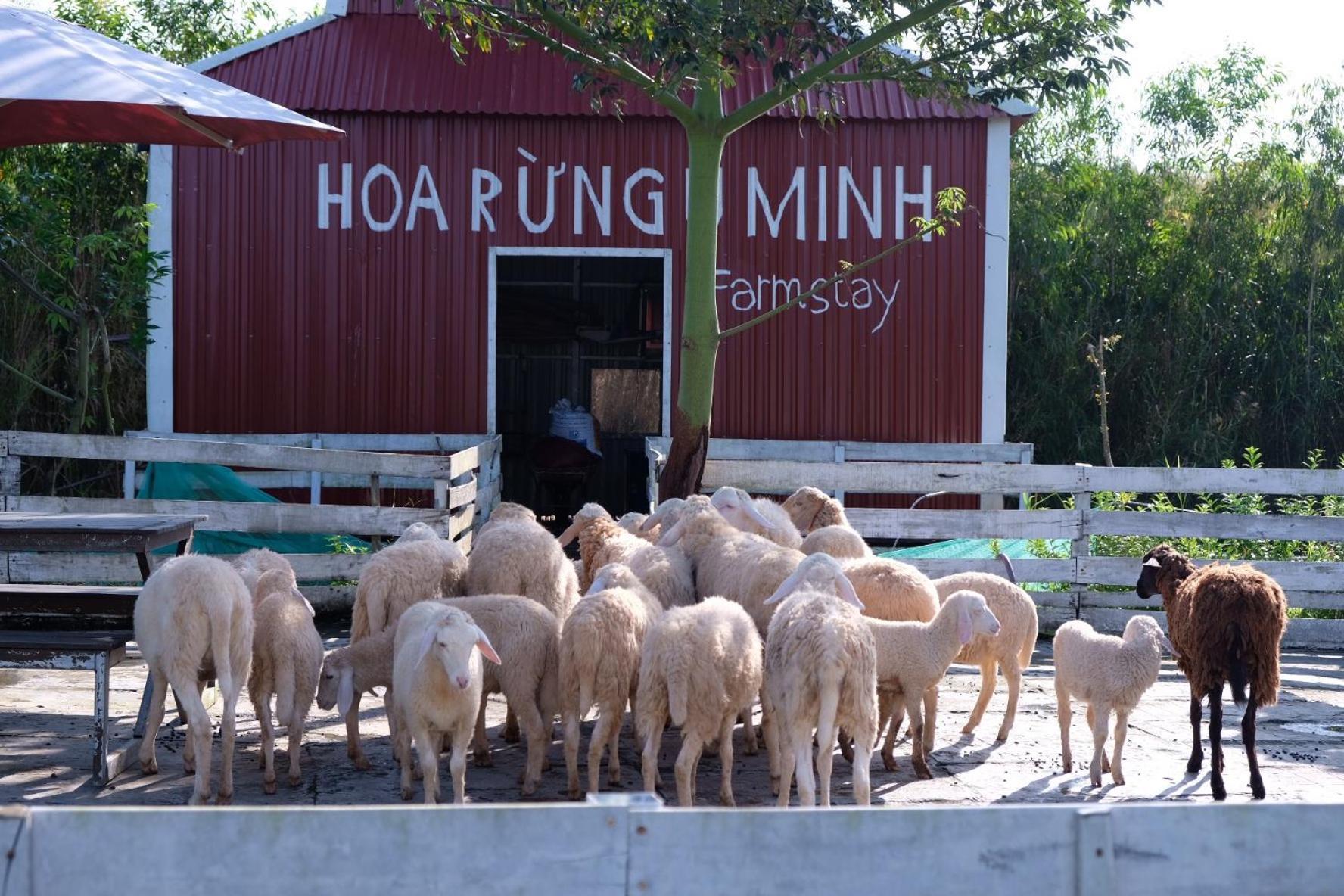 Bungalow - Farmstay Hoa Rung U Minh Cà Mau 外观 照片